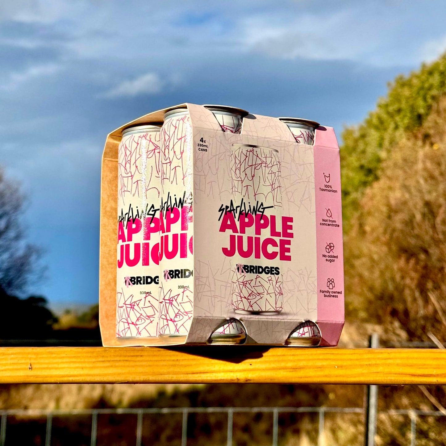 Mr Bridges Sparkling Apple Juice four pack of 330ml cans on a wooden fence