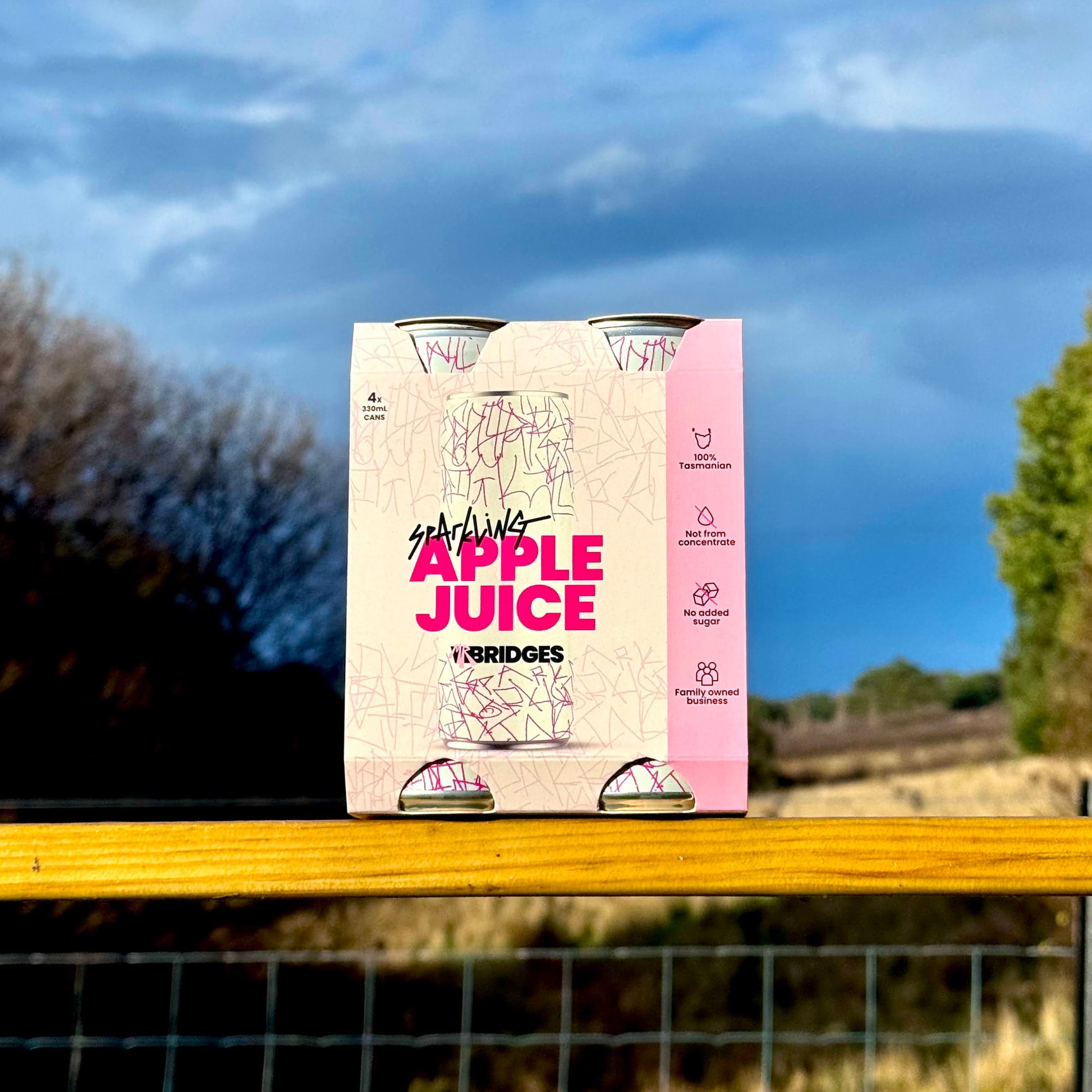 Four pack of Mr Bridges Sparkling Apple Juice showing 100% Tasmanian, not from concentrate, no added sugar credentials