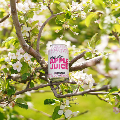 Sparkling Apple Juice