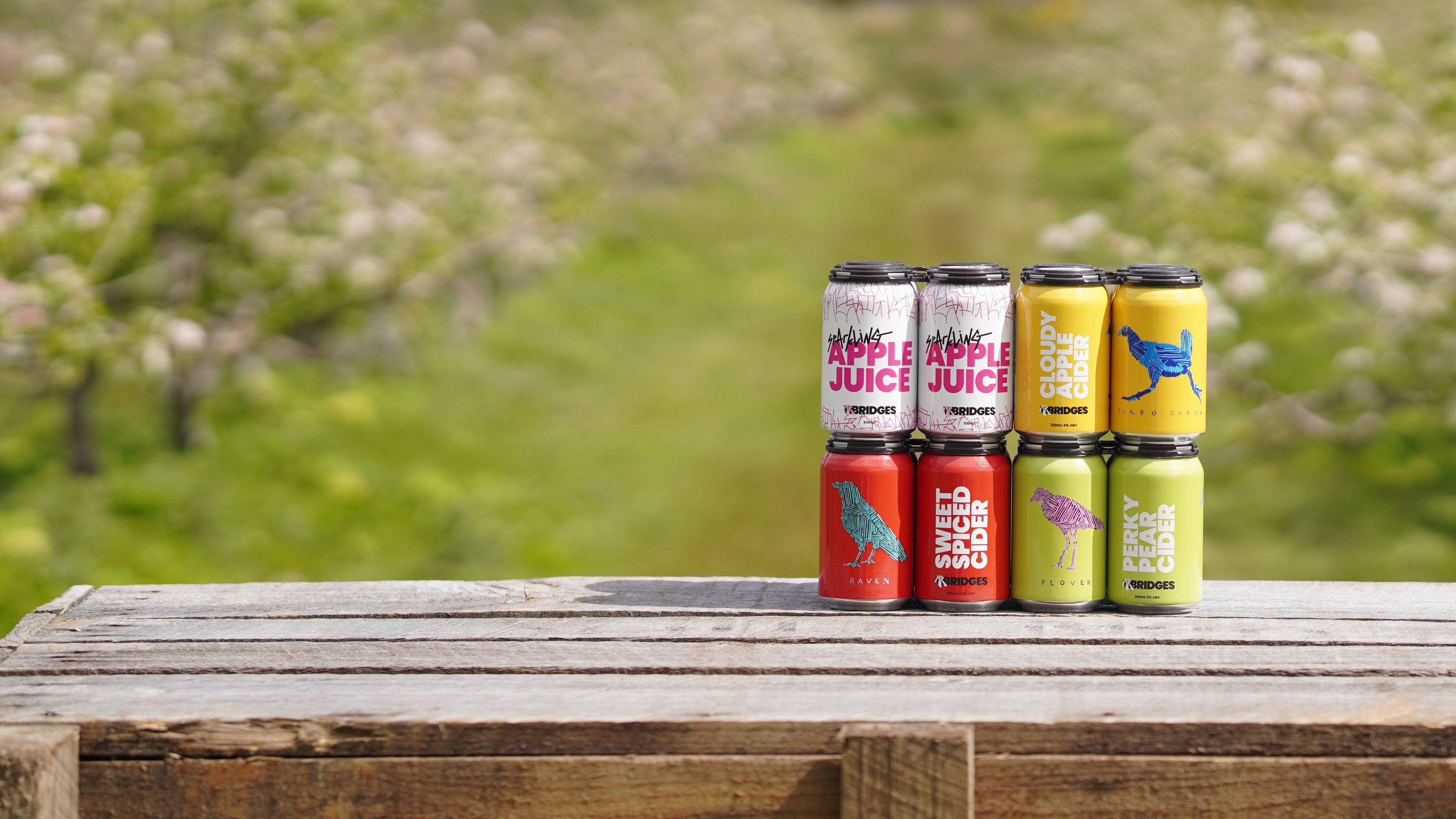 Mr Bridges Tasmanian cider and sparkling apple juice cans in front of apple blossom at Trial Bay Orchards, Kettering